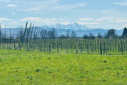 Wohnung Kressbronn am Bodensee / Betznau Betznau - 3 Zimmer, 124 m&sup2;, 856.000&euro; | Angebot:26072700