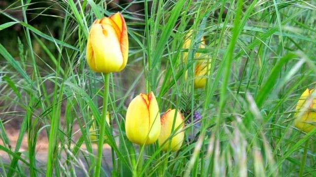 Etagenwohnung Überlingen - 3 Zimmer, 130 m&sup2;, 1.098.000&euro; | Angebot:25695277