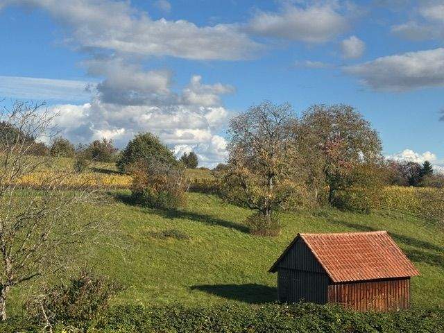 Etagenwohnung Überlingen - 3 Zimmer, 90 m&sup2;, 699.000&euro; | Angebot:25684824