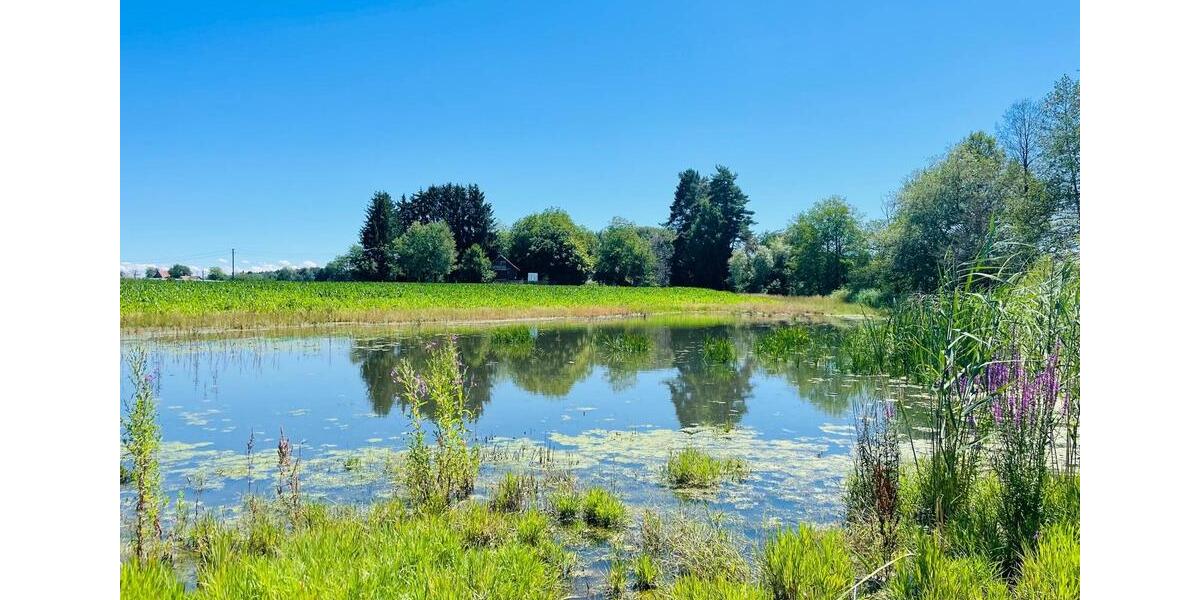 Einfamilienhaus Immenstaad am Bodensee - 890.000&euro; | Angebot:25428698