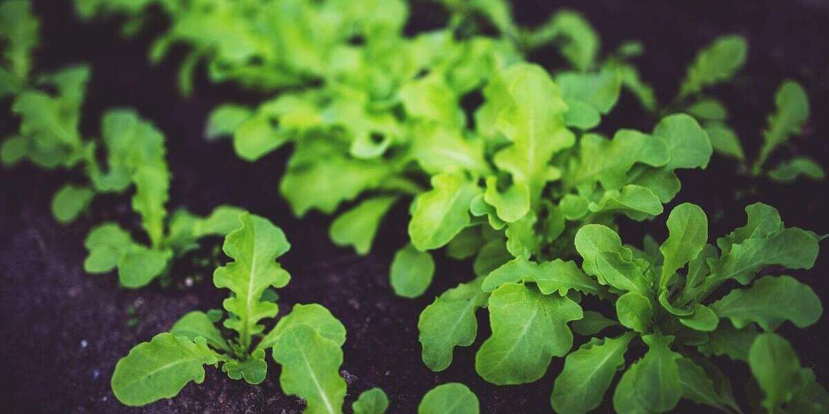 Einfamilienhaus Überlingen - 5 Zimmer, 110 m&sup2;, 525.000&euro; | Angebot:25695299