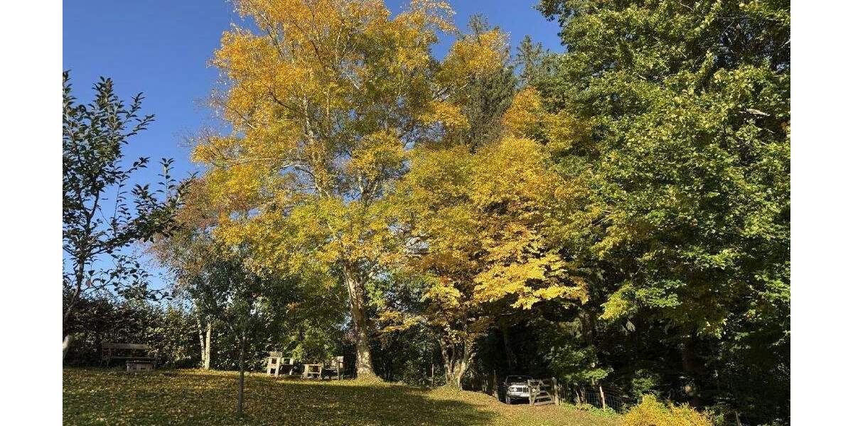 Einfamilienhaus Amtzell - 5 Zimmer, 129 m&sup2;, 1.088.000&euro; | Angebot:25682952