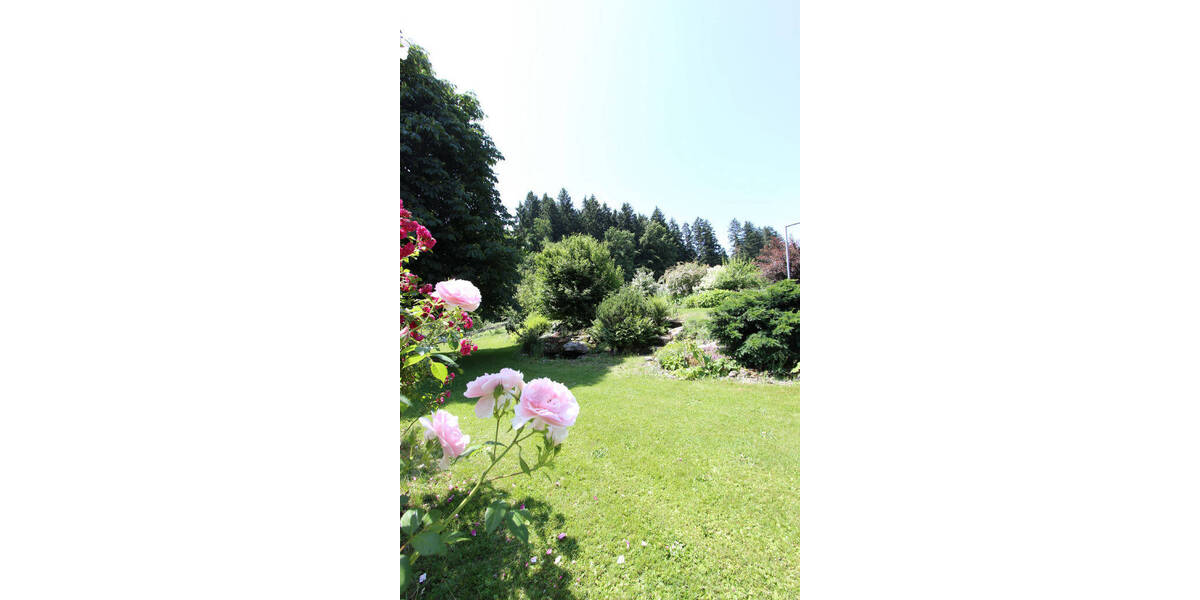 Mehrfamilienhaus, Wohnhaus Waldburg - 1 Zimmer, 400 m&sup2;, 1.938.000&euro; | Angebot:25682937