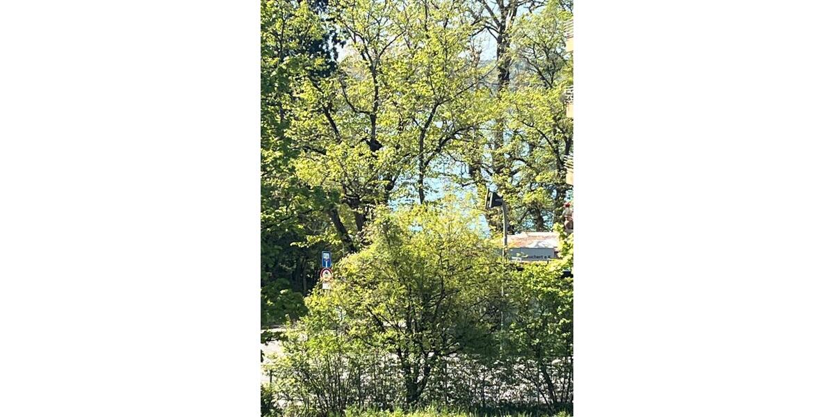 Dachgeschoßwohnung Überlingen - 3 Zimmer, 119 m&sup2;, 2.250&euro; | Angebot:26580201