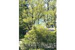 Dachgeschoßwohnung Überlingen - 3 Zimmer, 119 m&sup2;, 2.250&euro; | Angebot:26580201