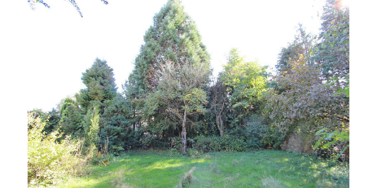 Einfamilienhaus Wangen-Primisweiler Primisweiler - 4 Zimmer, 145 m&sup2;, 448.000&euro; | Angebot:25682961