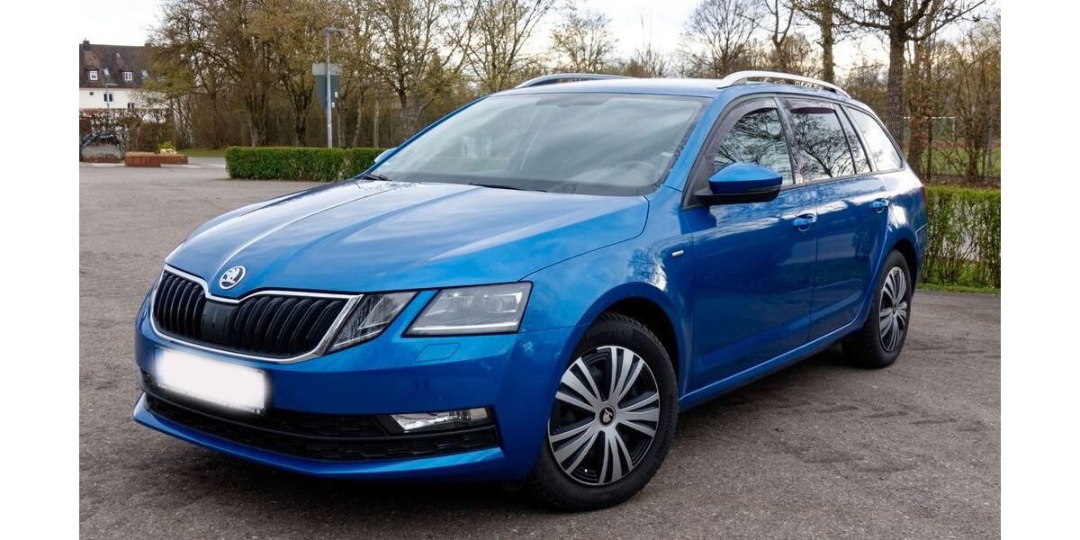 Skoda Octavia 74.064 km 17.990 &euro; Oberteuringen 88094