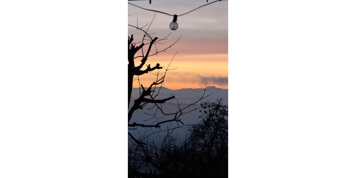 Etagenwohnung Horgenzell - 1.5 Zimmer, 46 m&sup2;, 750&euro; | Angebot:25107434